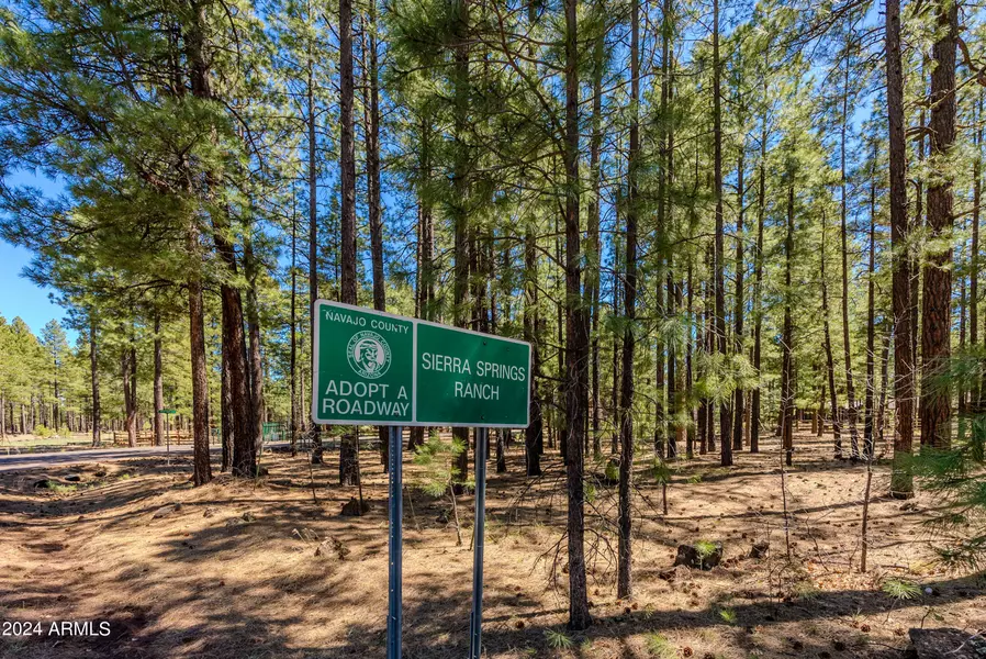 4583 SKY HI Road #-, Pinetop, AZ 85935
