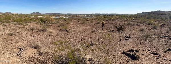 Peoria, AZ 85383,139 W Blackstone Lane #-