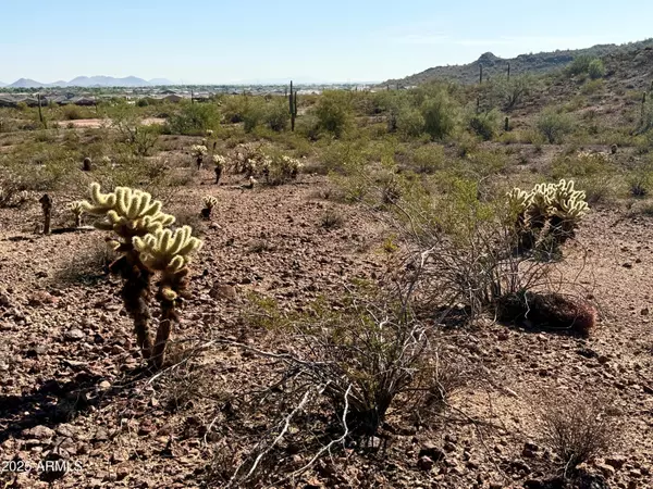 Peoria, AZ 85383,139 W Blackstone Lane #-