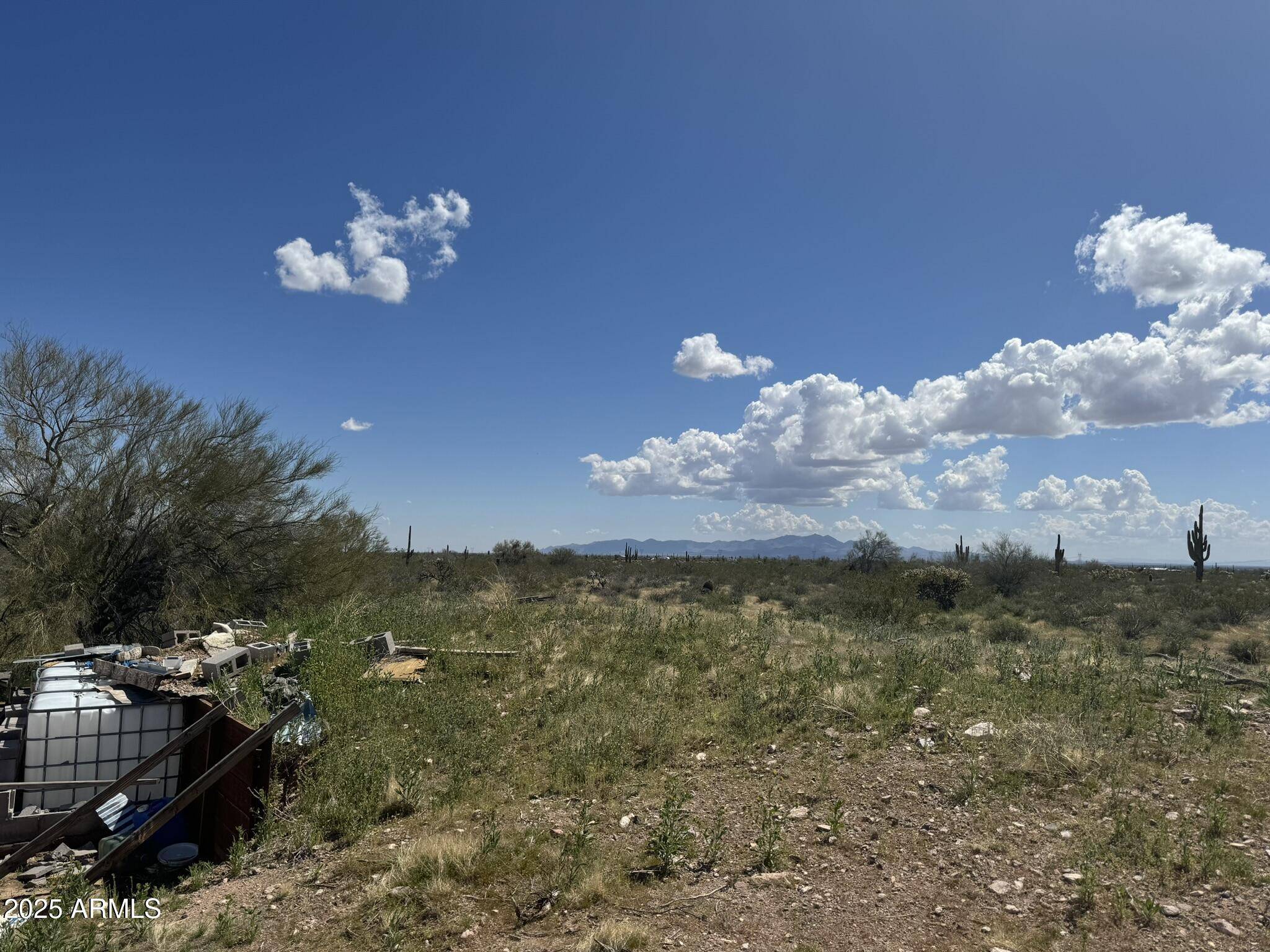 Wickenburg, AZ 85390,33098 W GALVIN Street #64