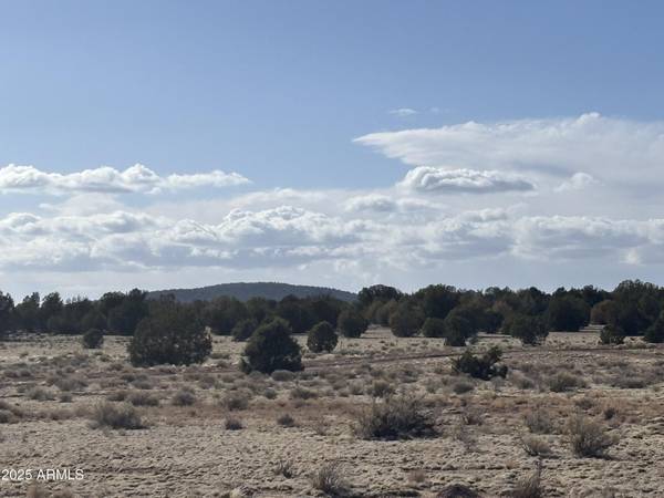 Seligman, AZ 86337,0 N PARCEL #301-10-230-1557 -- #1557