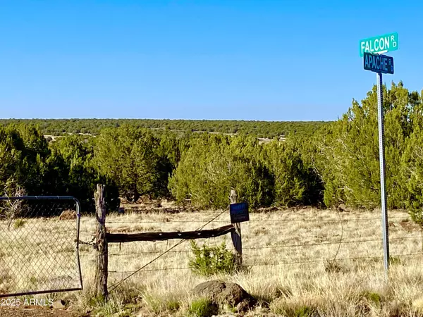 Show Low, AZ 85901,1528 Falcon Rd Lot A 10.33 Acres -- #-
