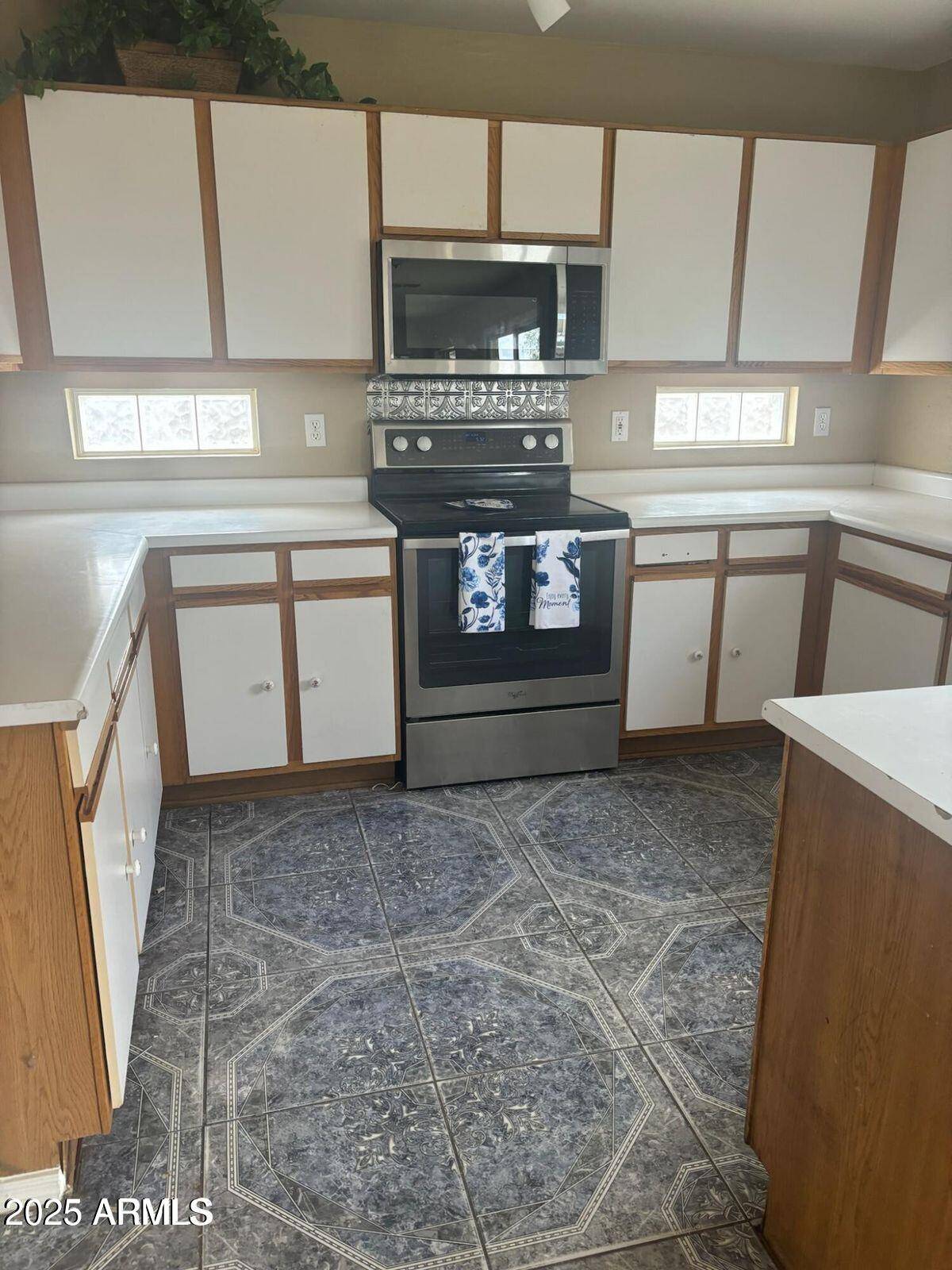 Phoenix, AZ 85037,4136 N 113TH Drive