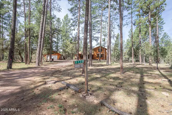 Payson, AZ 85541,1136 E SEE CANYON Drive