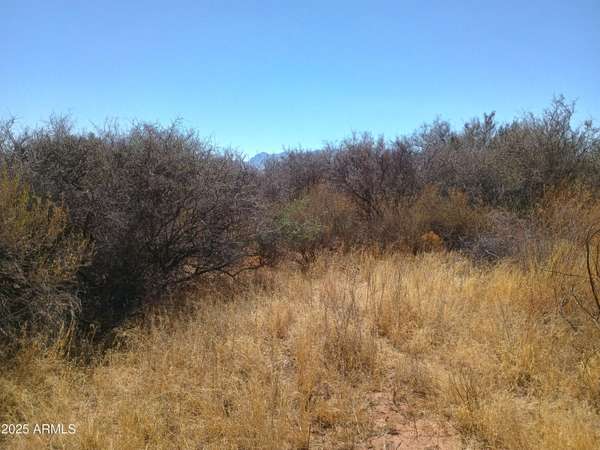 Bisbee, AZ 85603,W Desert Mountain Trail #-