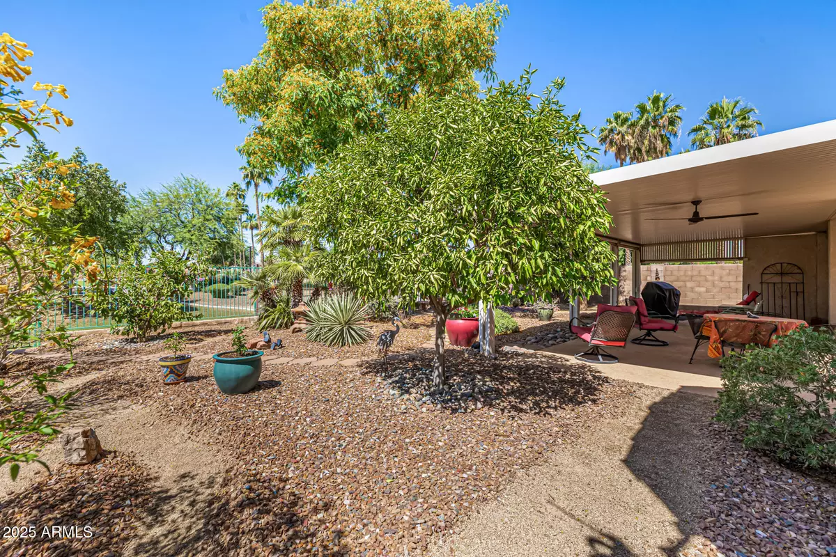 Surprise, AZ 85374,14819 W LUPINE Lane