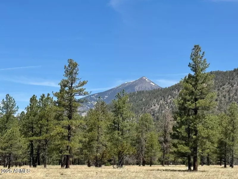 4 N Quintana Drive #4, Flagstaff, AZ 86001
