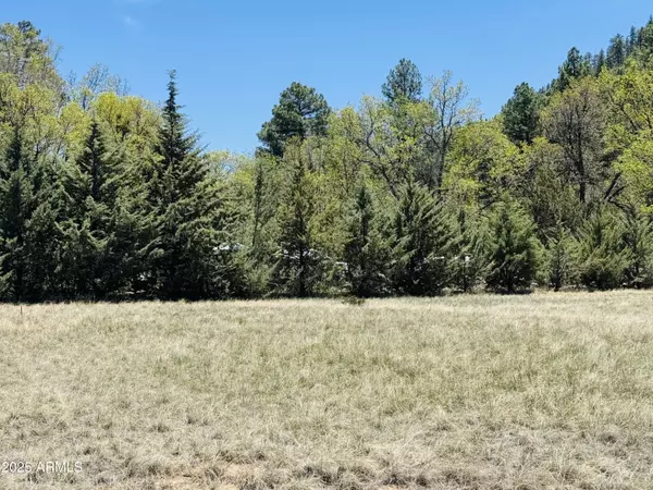 Pine, AZ 85544,0 Juniper Road #149;B