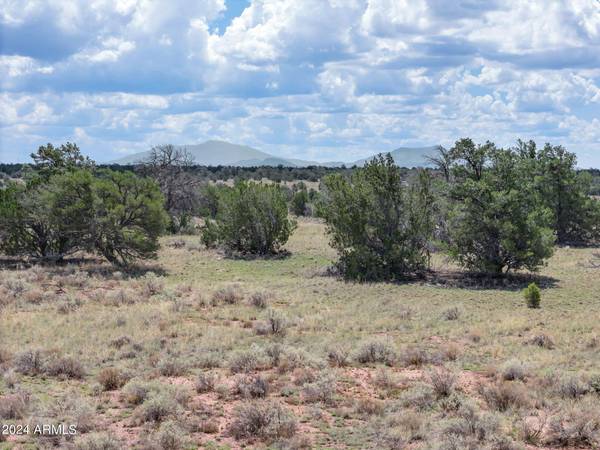 Williams, AZ 86046,5785 N MUYTALA Drive #,D