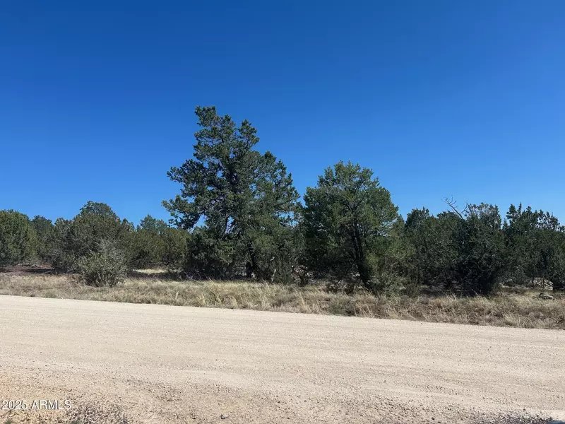 7 Stanford -- #7, Vernon, AZ 85940