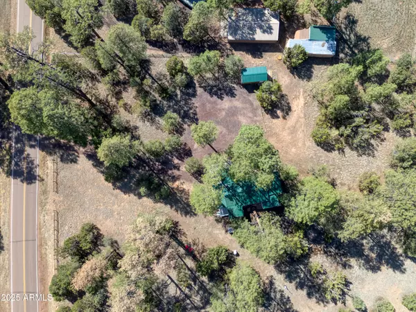 Overgaard, AZ 85933,2905 Pine Rim Road