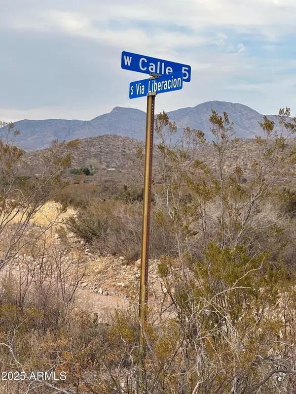 Bisbee, AZ 85603,LOT 6D TRACT 6D RIO VISTA -- #6D