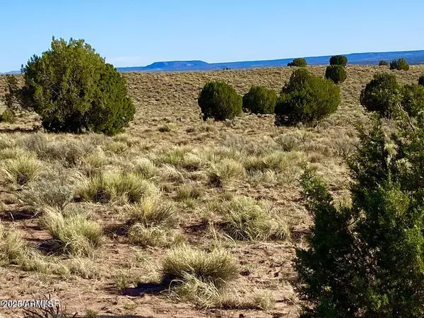 Concho, AZ 85924,Meadows Ranch Unit 3 Lot 204 -- #-