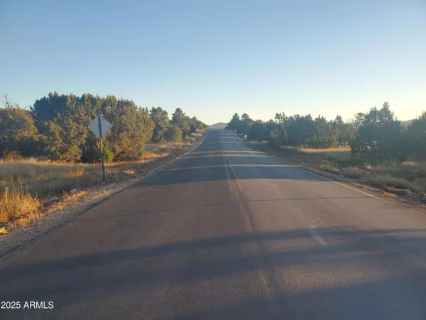 1 COUNTY ROAD N8155 -- #-, Concho, AZ 85924