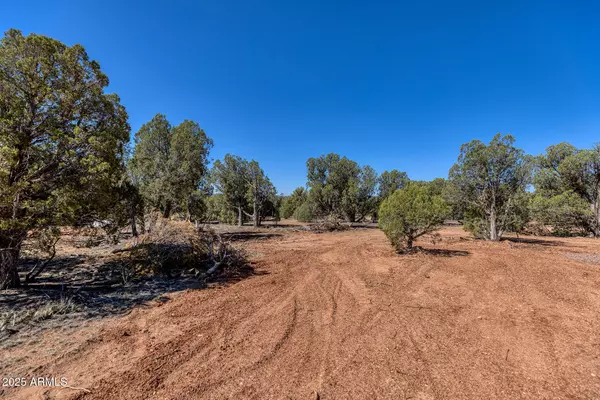 Show Low, AZ 85901,0 AUBRI Lane #-