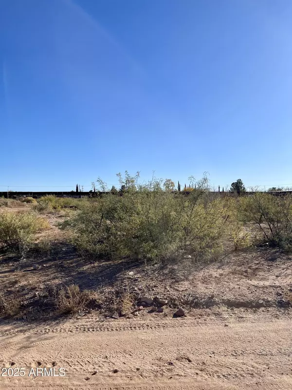 Douglas, AZ 85607,E 1st Street #1