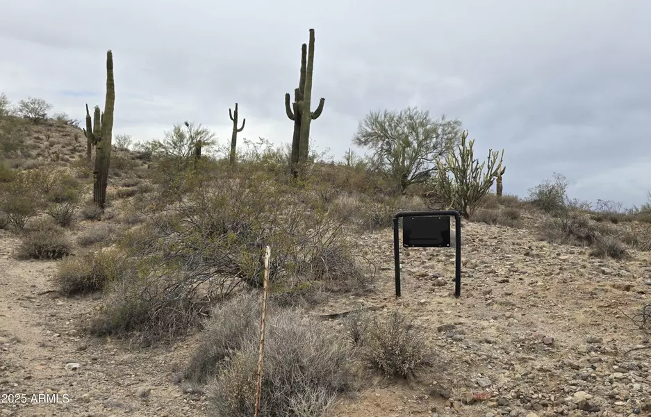 293 W Dale Lane #-, Wittmann, AZ 85361