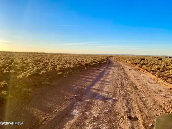 Holbrook, AZ 86025,Hodges Ln 39.05 Acres -- #-