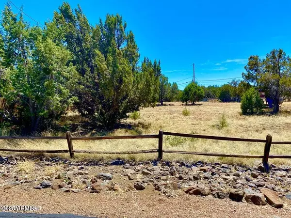 Show Low, AZ 85901,8268 TAHOE Place #84