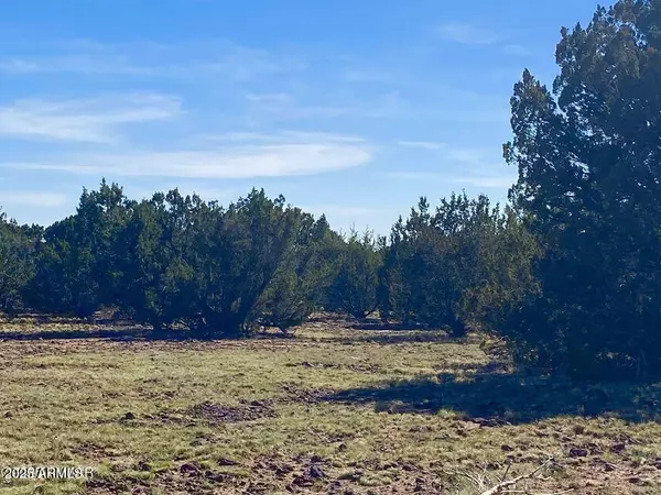 Show Low, AZ 85901,Pioneer Trl 10 Acres -- #-