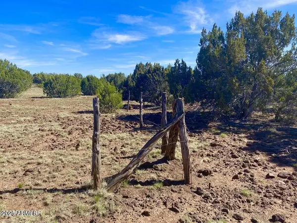 Show Low, AZ 85901,Pioneer Trl 10 Acres -- #-