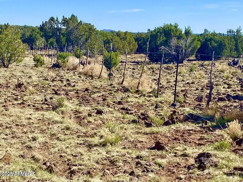Pioneer Trl 10 Acres -- #-, Show Low, AZ 85901