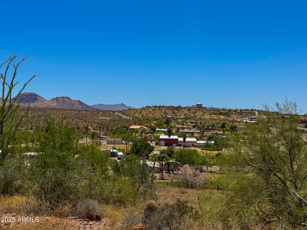 Queen Valley, AZ 85118,1033 N SHERWOOD Way #191