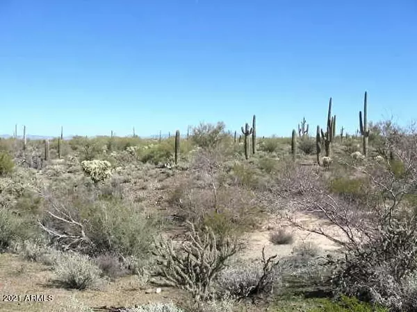 Florence, AZ 85132,0 N Adams Way #61A