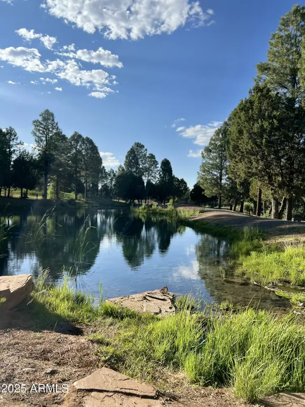 Show Low, AZ 85901,1758 MALON Place