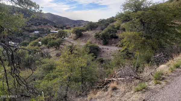 Bisbee, AZ 85603,3 Adams Avenue #150-152