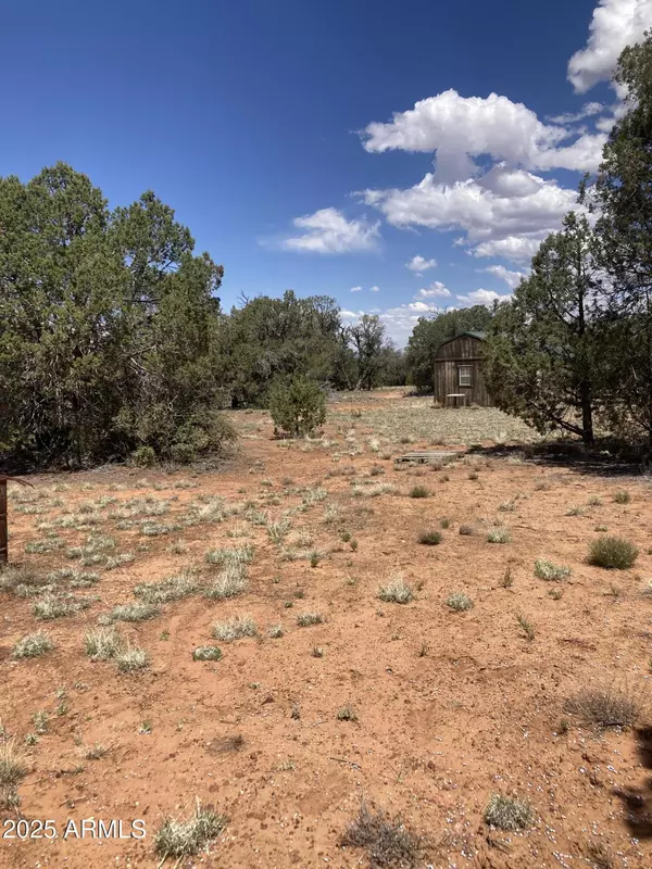Ash Fork, AZ 86320,0 Off of Rainy RD -- #64