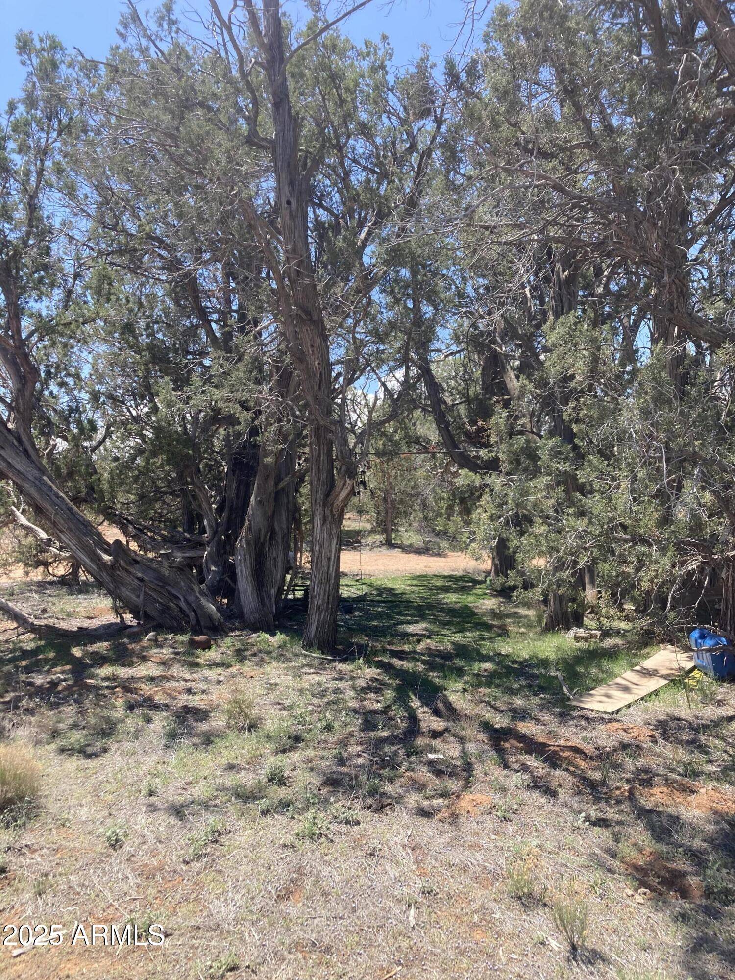 Ash Fork, AZ 86320,0 Off of Rainy RD -- #64
