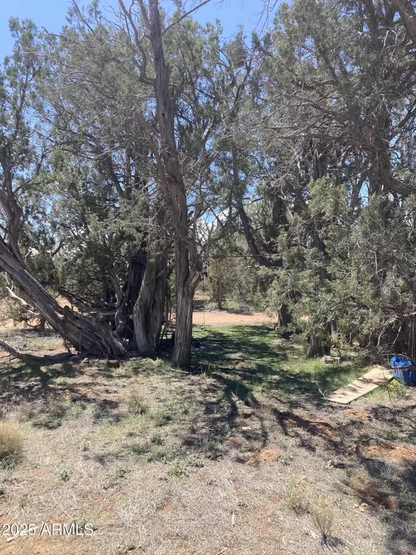 Ash Fork, AZ 86320,0 Off of Rainy RD -- #64