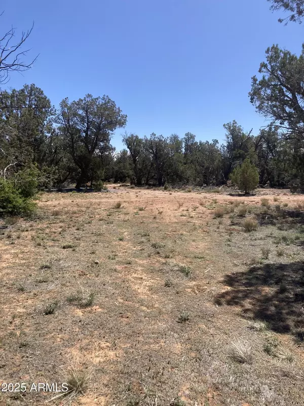 Ash Fork, AZ 86320,0 Off of Rainy RD -- #64