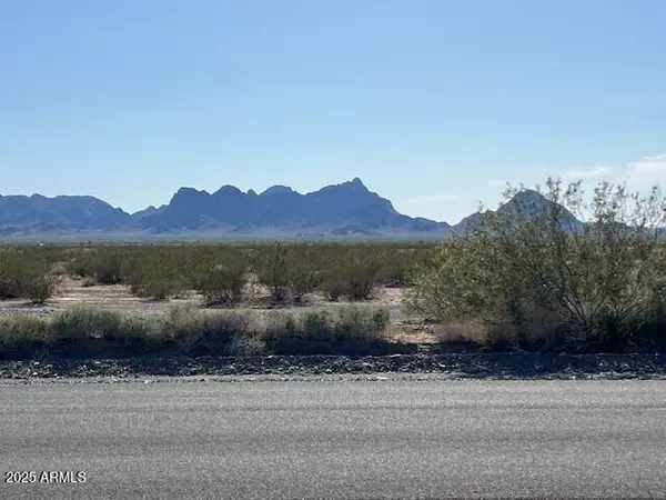 Vicksburg, AZ 85348,66 Ave 42E -- #-