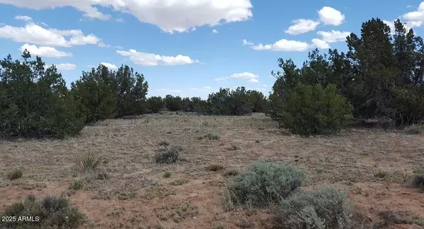 St Johns, AZ 85936,205 County Rd N7291 -- #-