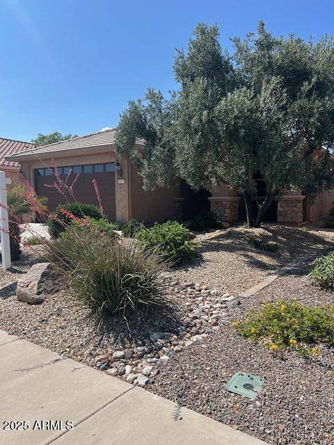 Buckeye, AZ 85396,26370 W Ross Avenue