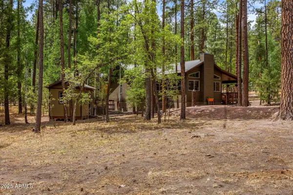 Alpine, AZ 85920,2 County Road 2069 --