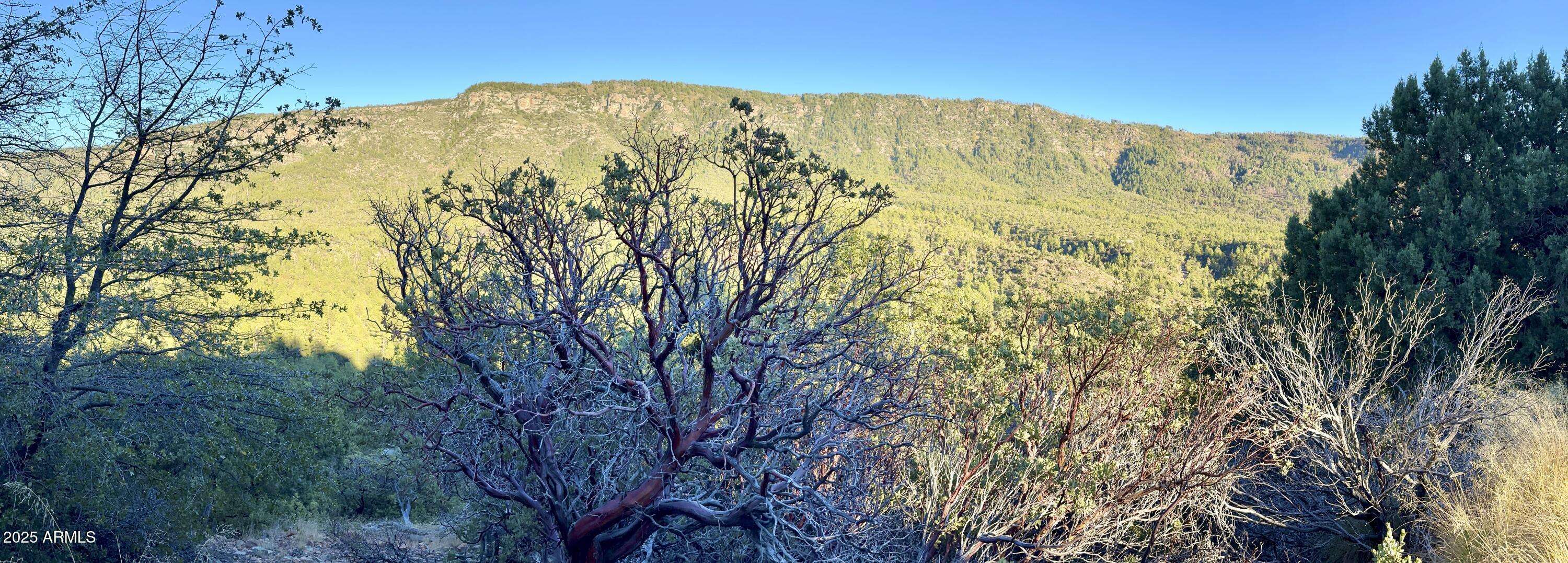 132 N Knob Hill -- #132, Pine, AZ 85544