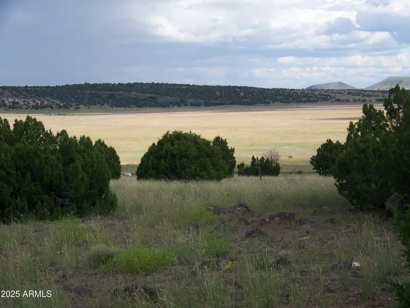 253 N8640 -- #253, Concho, AZ 85924