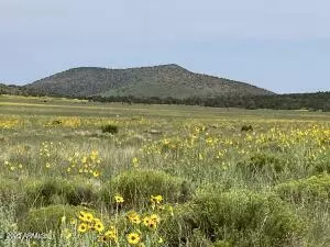 Flagstaff, AZ 86001,23320 Forest Service 548 Road #0