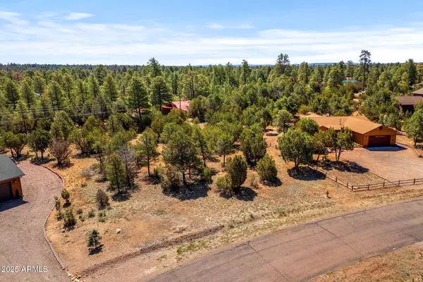 Heber, AZ 85928,3327 SAWMILL RIDGE Loop #103