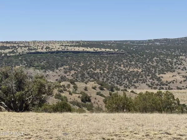 Concho, AZ 85924,9 Big Six Ranches -- #9