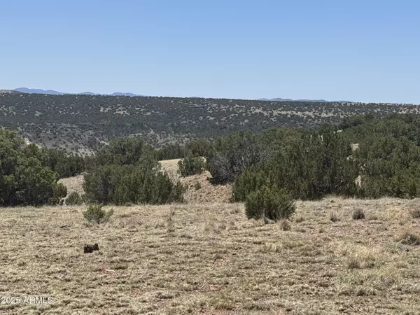 Concho, AZ 85924,9 Big Six Ranches -- #9