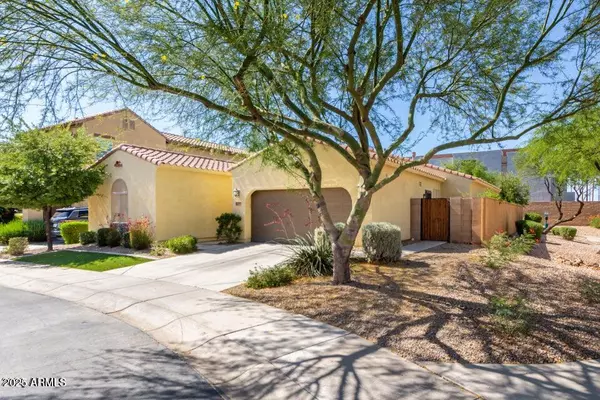 Chandler, AZ 85286,290 E INDIGO Drive