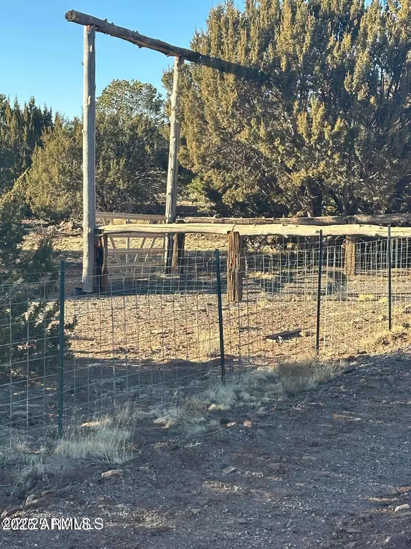 Williams, AZ 86046,9733 N Stagecoach Drive #38 & 39
