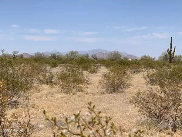 Maricopa, AZ 85139,1 W Whirly Bird Lot 1 Road #-
