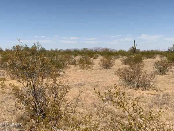 Maricopa, AZ 85139,3 W Whirly Bird Lot 3 Road #-