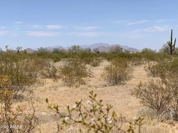 Maricopa, AZ 85139,3 W Whirly Bird Lot 3 Road #-