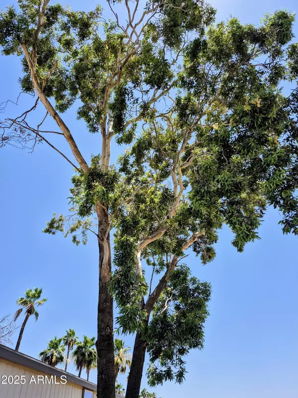 Glendale, AZ 85303,7920 W GLENDALE Avenue #39